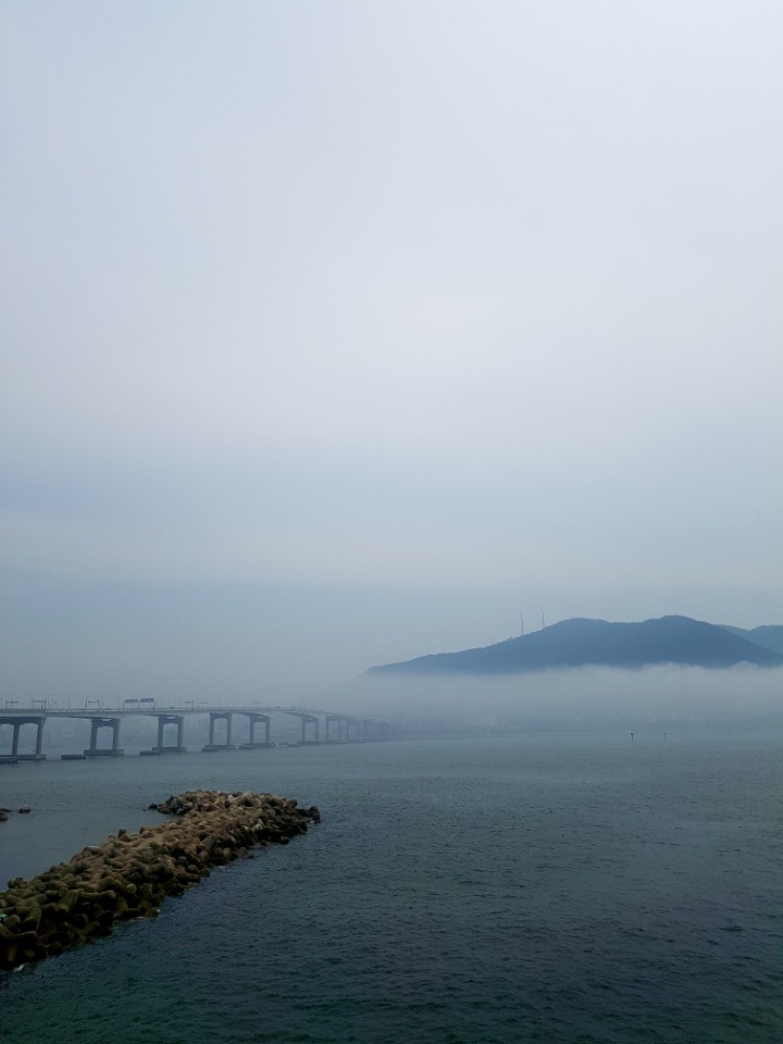 올 한해 잘 나온 사진 | 인스티즈