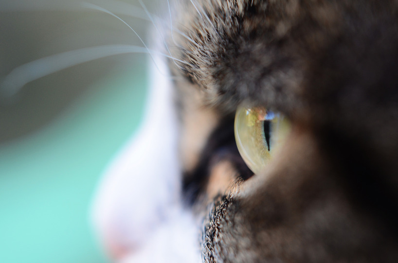 투명한 유리구슬처럼 보이지만~ | 인스티즈