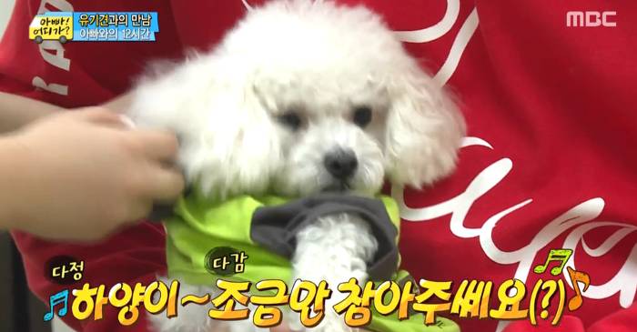 [아빠어디가] 유기견을 대하는 윤후의 태도 .jpg | 인스티즈