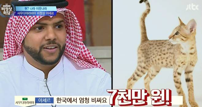 최대산유국 사우디의 위엄 | 인스티즈