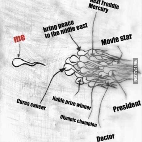 우리가 열심히 살아야 하는 이유.jpg | 인스티즈