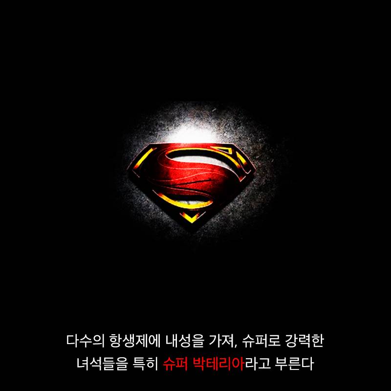 항생제의 역습 | 인스티즈