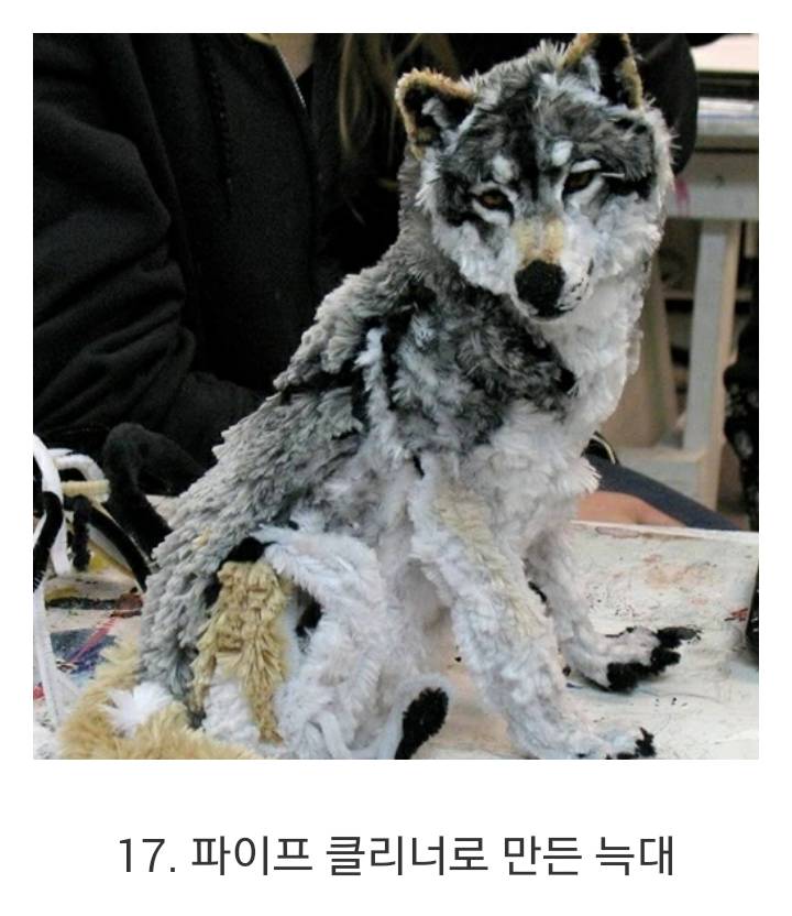 합성 같은 실제 사진 | 인스티즈