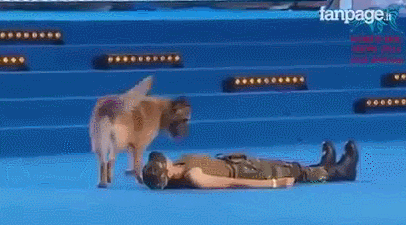 당신 옆에 환자가 쓰러졌다 : 기초 응급대처법 3가지 당신은 어디까지 할 수 있나요? | 인스티즈