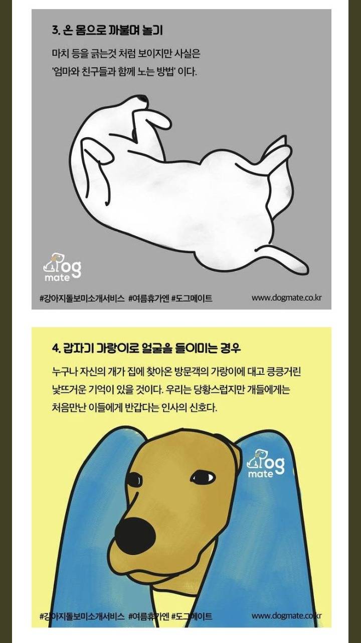 강아 즐거울때 하는 7가지 행동 | 인스티즈