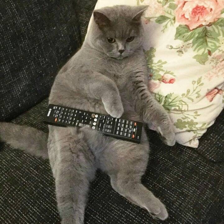 거대한 먼지덩어리들 | 인스티즈