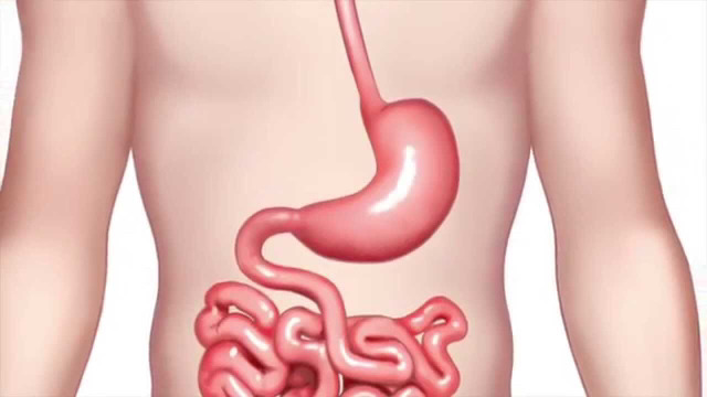 엿 어라!가 욕이 된 이유 | 인스티즈