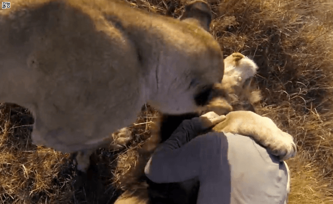 격하게 반겨주는 사냥이들 | 인스티즈