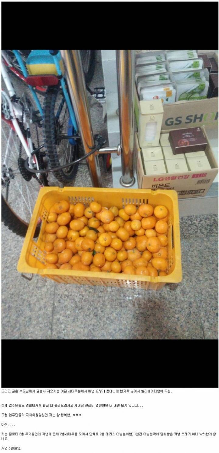 흔하지 않은 동네.jpg | 인스티즈