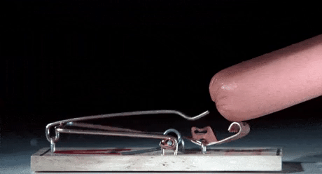 쥐덫이 작동하는 순간 | 인스티즈