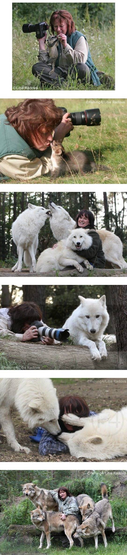 동물들과 친화력 | 인스티즈