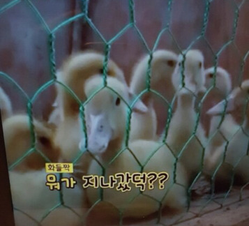 나영석 PD 예능에서 은근 호불호 나뉘는 편집.jpg | 인스티즈