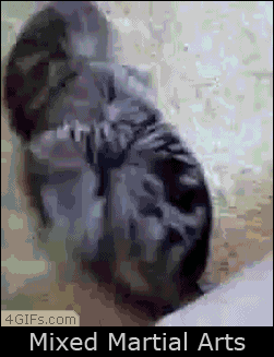 누가 이길것 같냥? | 인스티즈