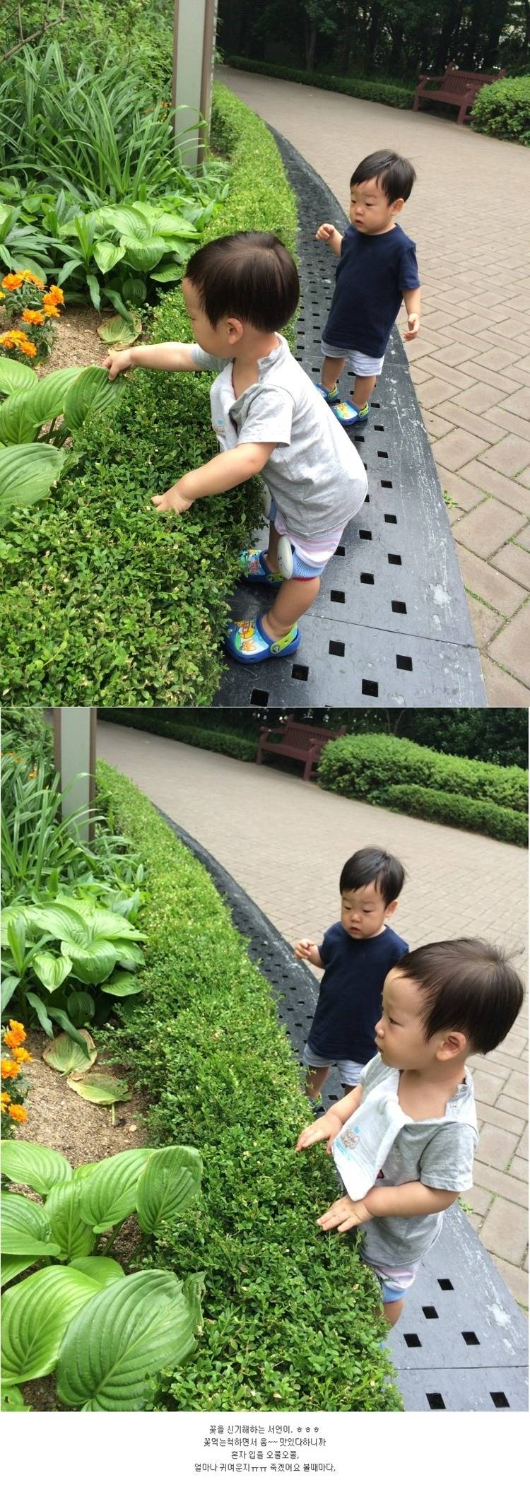 [슈퍼맨이돌아왔다] 자연친화적인 이 시대의 감성 유아 서언이~ㅋ | 인스티즈