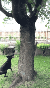 귀여운 동물들 | 인스티즈