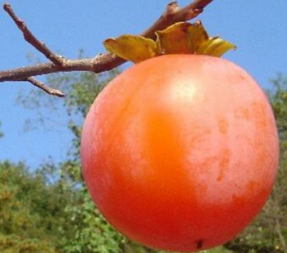 감동글입니다 ㅜㅜ | 인스티즈