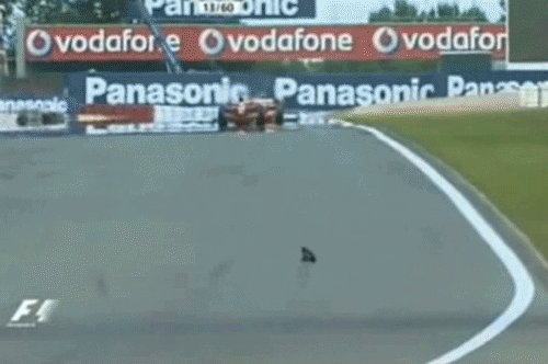 제로의 영역.gif | 인스티즈