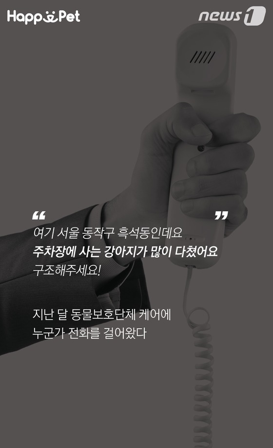 흑석동 강아지 염산테러사건의 전말 | 인스티즈