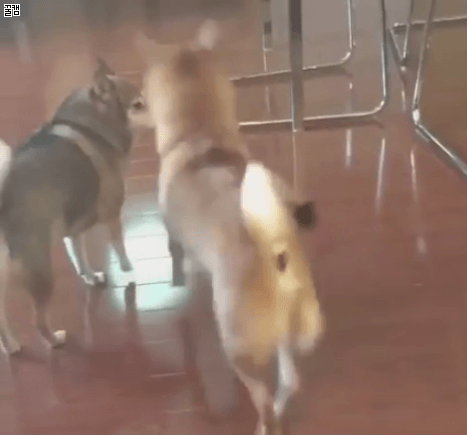 새내기와 친해지고 싶은 복학생 선배 | 인스티즈