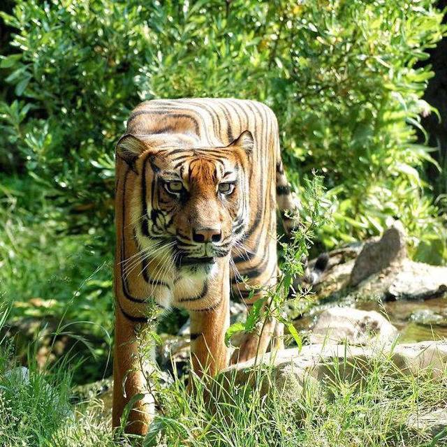 돔물믜 뫔국.jpg | 인스티즈