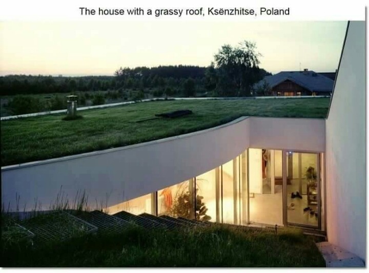 특이한 디자인의 집들 | 인스티즈