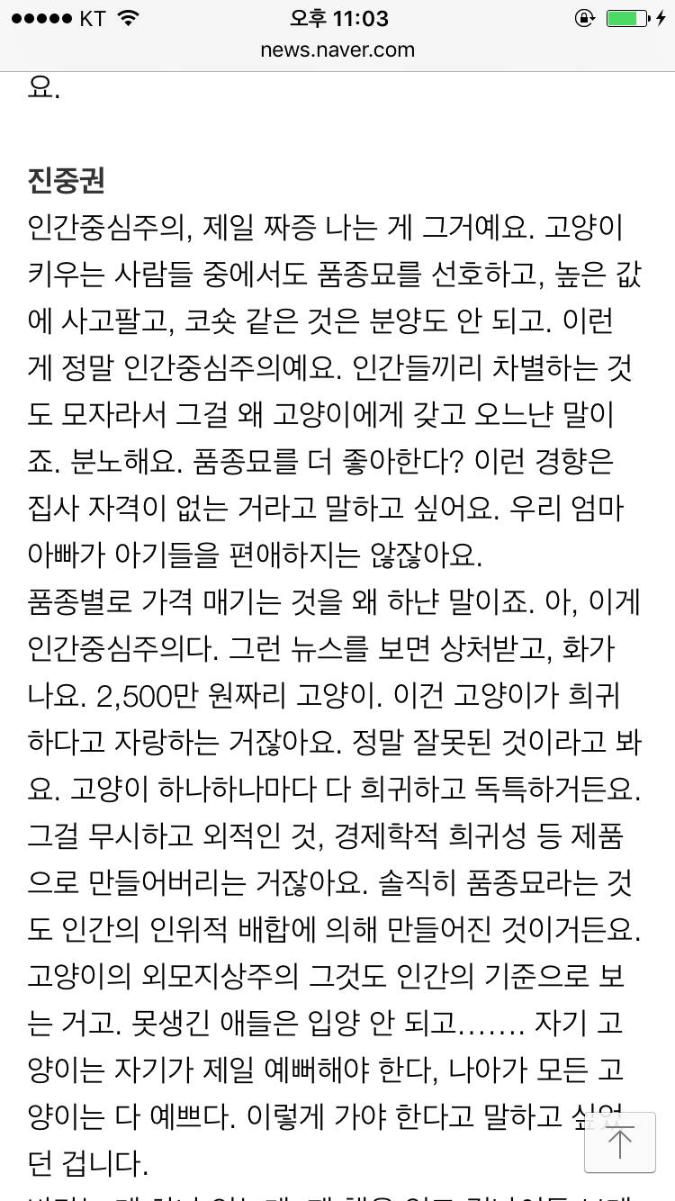 진중권의 고양이 인문학 고로 나는 존재하는 고양이 | 인스티즈