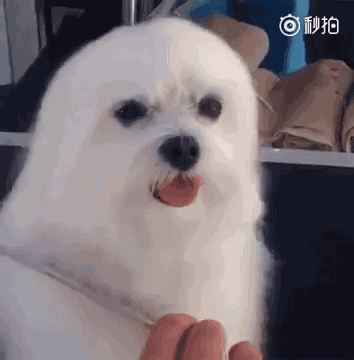 물개와 애봉이 사이 | 인스티즈