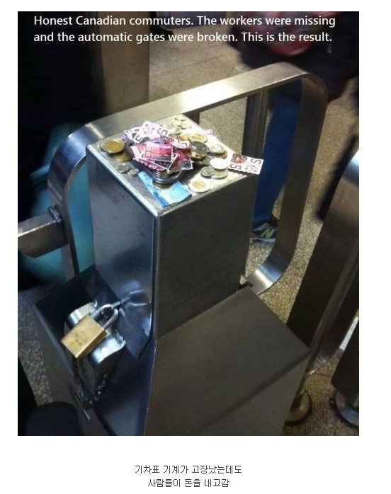 캐나다 시민의식 | 인스티즈