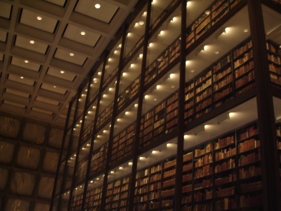 멋진 도서관들 | 인스티즈