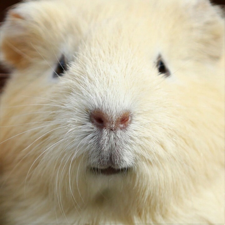 사진 못 찍는 애들이 찍은 사진들 특징 | 인스티즈