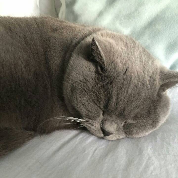 거대한 먼지덩어리들 | 인스티즈