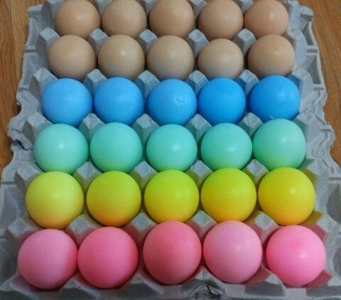 특이하고 예쁜 비누.jpg | 인스티즈