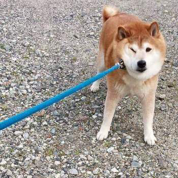 안 가 안 간다고.jpg | 인스티즈