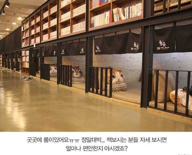 만화방 | 인스티즈