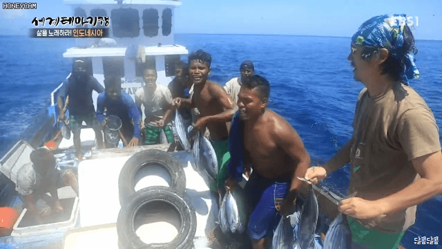 인도네시아 참치잡이 | 인스티즈