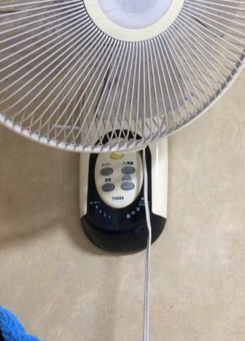 가오나시 | 인스티즈