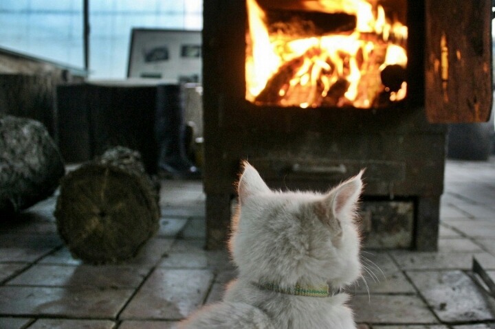 더운게 낫다 vs 추운게 낫다.jpg | 인스티즈