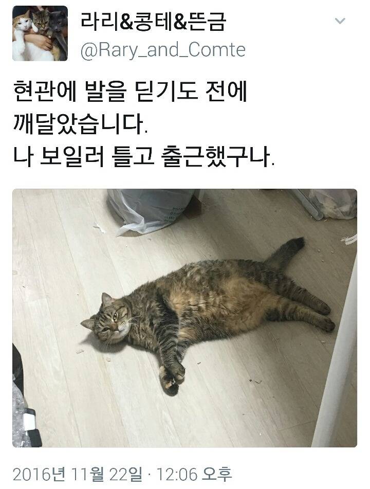 ??: 발을 딛기도 전에 깨달았습니다 | 인스티즈