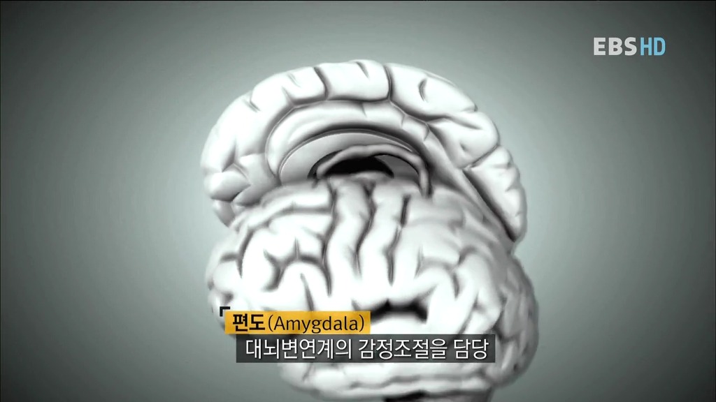 알아두면 아는 척 하기 좋은 경제 이야기.jpg | 인스티즈