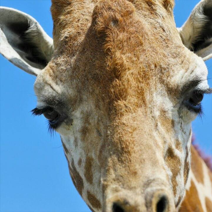 사진 못 찍는 애들이 찍은 사진들 특징 | 인스티즈