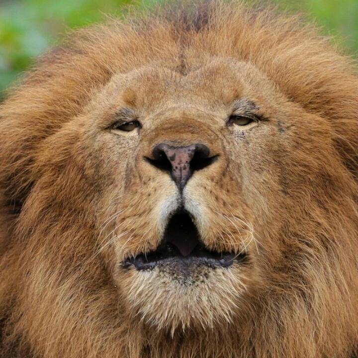 사진 못 찍는 애들이 찍은 사진들 특징 | 인스티즈