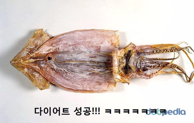 다이어트 전후 | 인스티즈