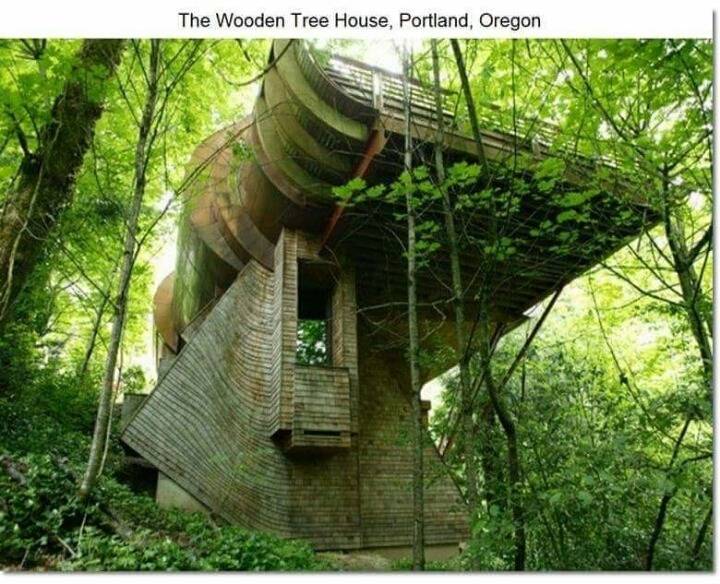 특이한 디자인의 집들 | 인스티즈