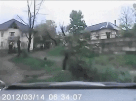 불곰국의 사냥법 | 인스티즈