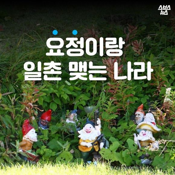  요정이랑 일촌 맺는 나라 | 인스티즈