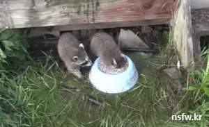 내가 다 먹어 버리겠다~ | 인스티즈