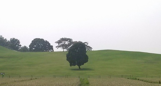  정작 서울사람들도 잘 모르는 서울의 숨겨진 장소 | 인스티즈