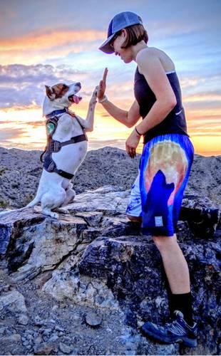 한쪽 다리가 없는 강아지와 여행하기... | 인스티즈