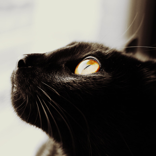 투명한 유리구슬처럼 보이지만~ | 인스티즈