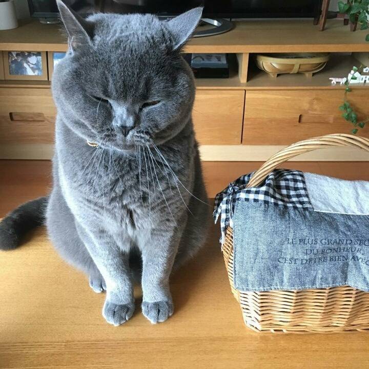 거대한 먼지덩어리들 | 인스티즈